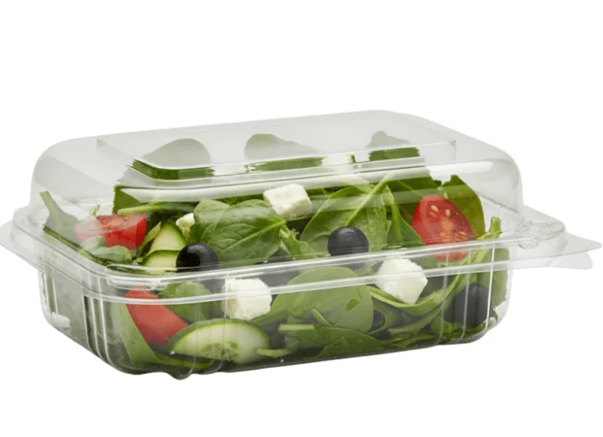 Rect Container Hinged Lid -( 250Pcs)