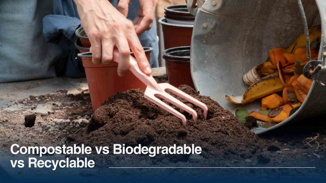Compostable vs Biodegradable vs Recyclable: What's the Difference?