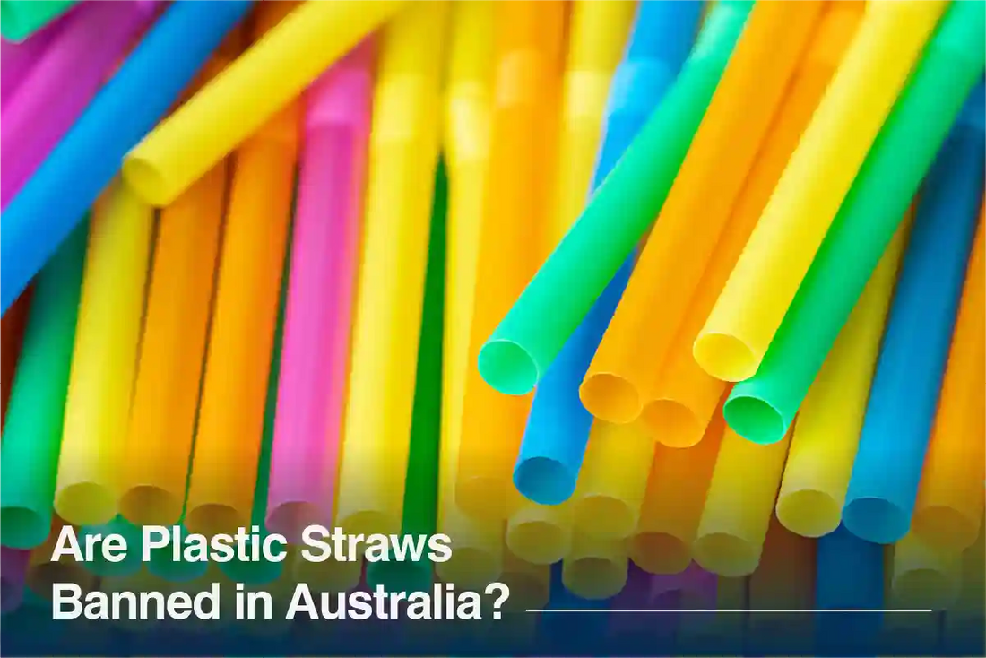 A collection of brightly coloured plastic straws illustrating the discussion around plastic straw restrictions and single-use plastic regulations in Australia.