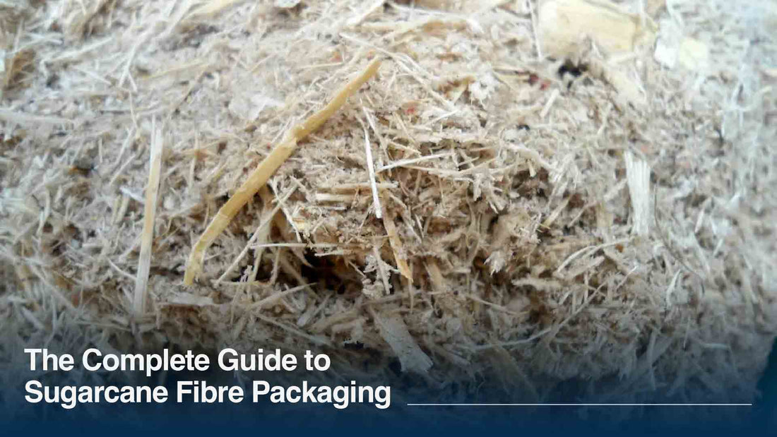 What Is Bagasse? The Complete Guide to Sugarcane Fibre Packaging