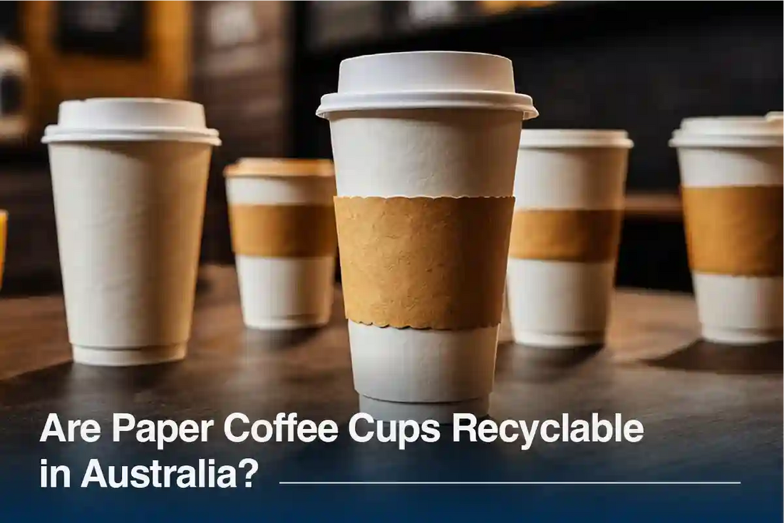 Are Paper Coffee Cups Recyclable in Australia? (The Honest Answer)