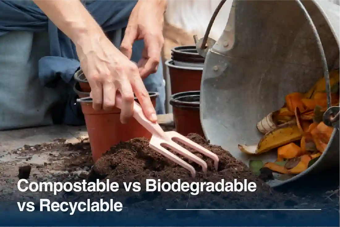 Compostable vs Biodegradable vs Recyclable: What's the Difference?