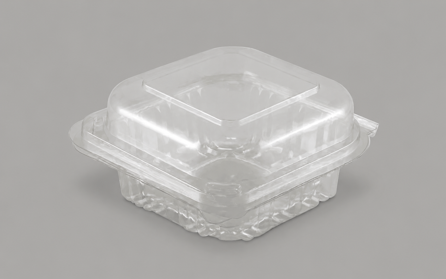 Burger Plastic Salad Clam