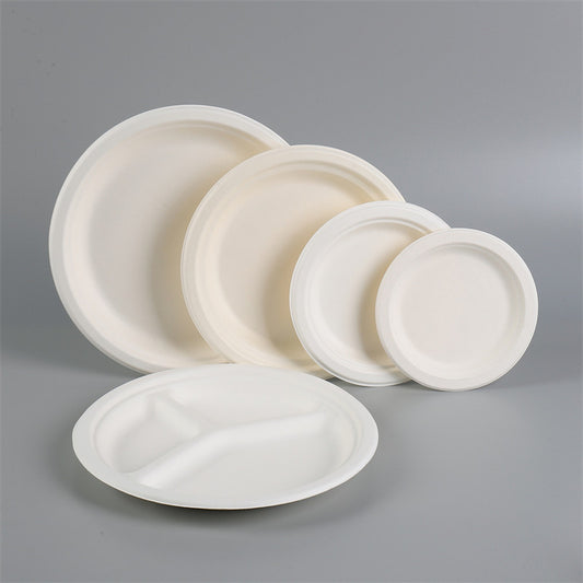10" Inch Sugarcane Fiber Plate (500Pcs/Ctn)