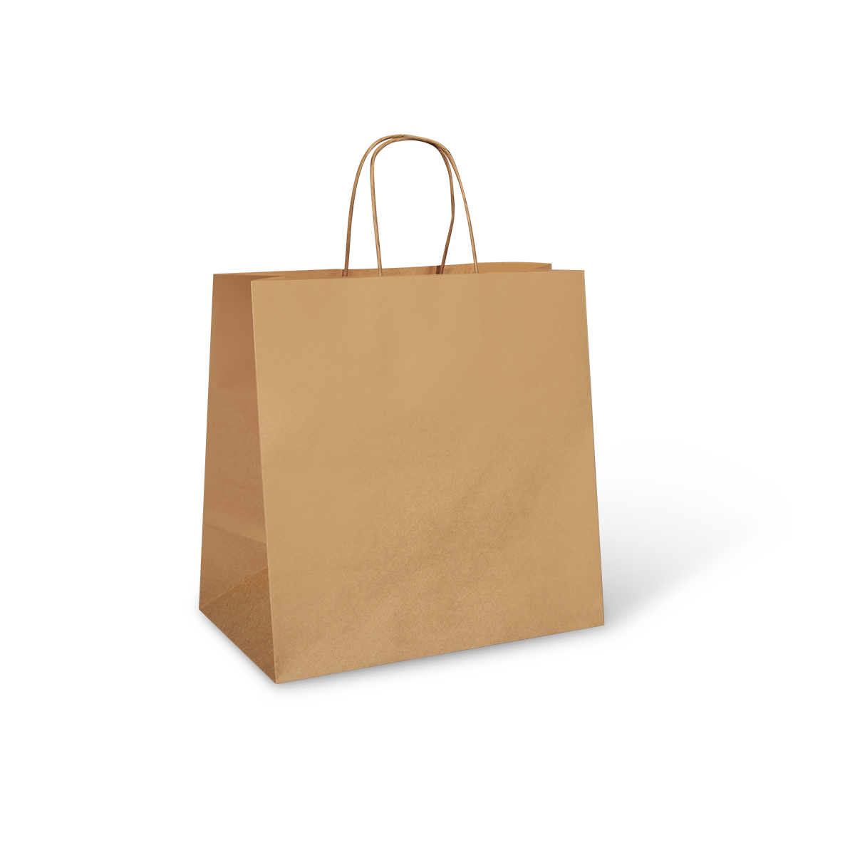 Handle Recycled Carry Bag Holds Up To 12kg